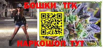 крисы Новокубанск