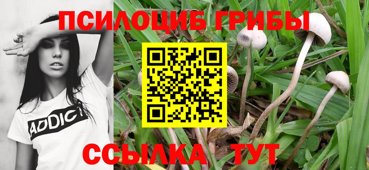 Галлюциногенные грибы ЛСД Скопин