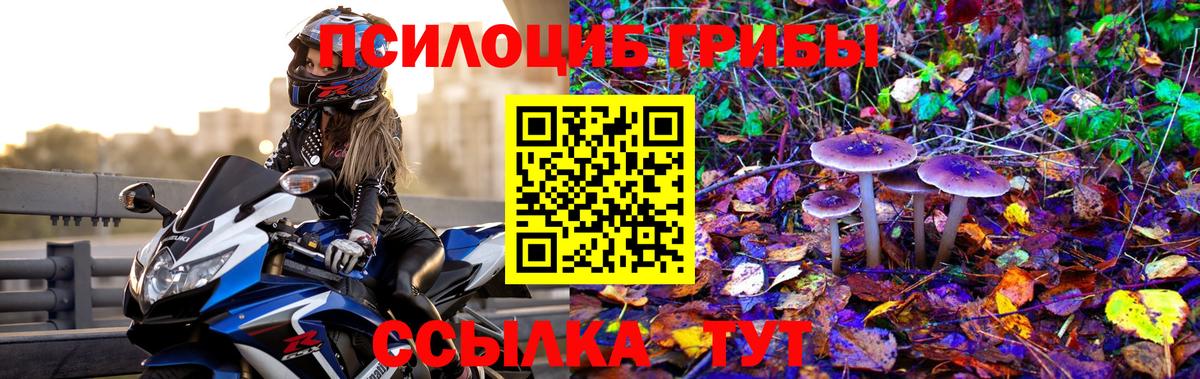 Скопин  Псилоцибиновые грибы GOLDEN TEACHER  Вход с VPN 
